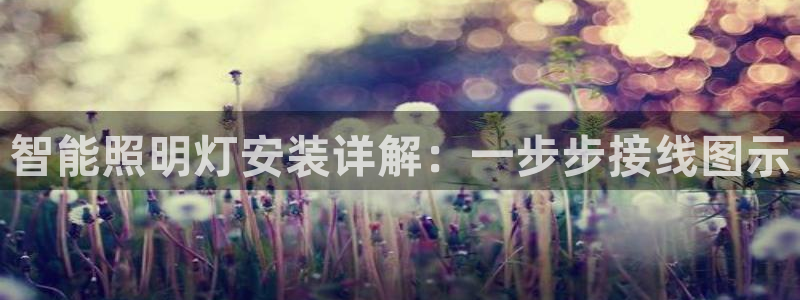云顶国际电子游戏怎么玩