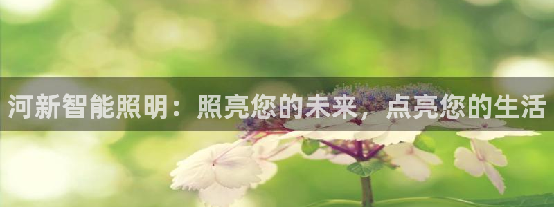 云顶国际不出款