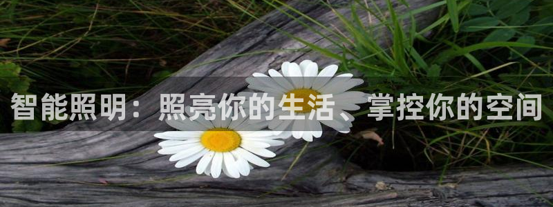 云顶网络游戏平台