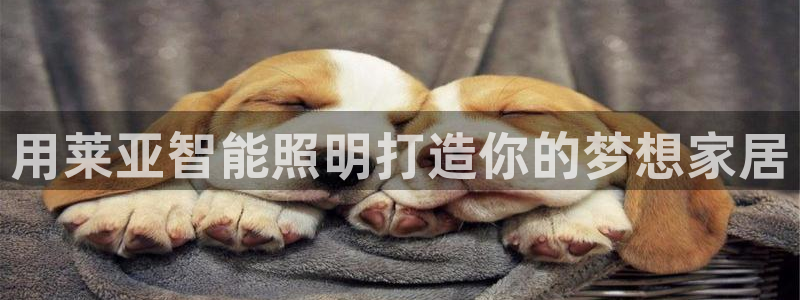 云顶国际logo