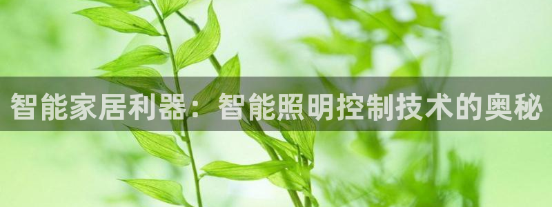 云顶国际房地产有限公司