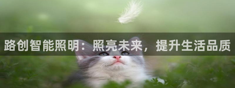 云顶国际集团io