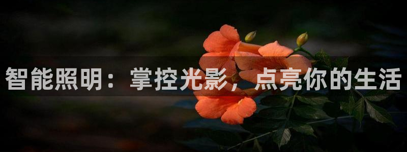 云顶国际
