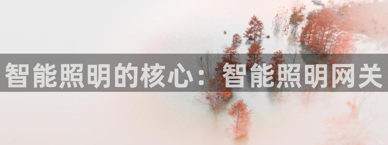 云顶国际二手房出售价格