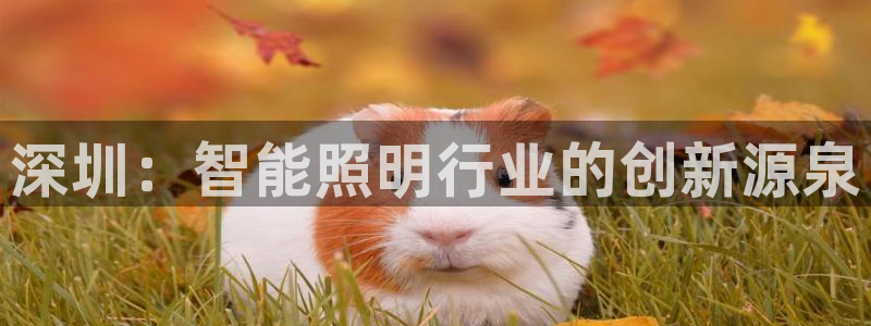 云顶国际app下载安装