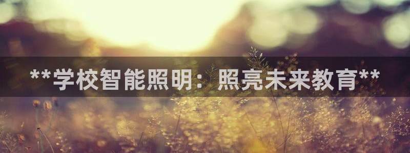 云顶集团3118app功能