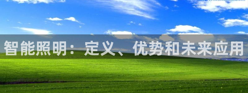 云顶国际房地产有限公司