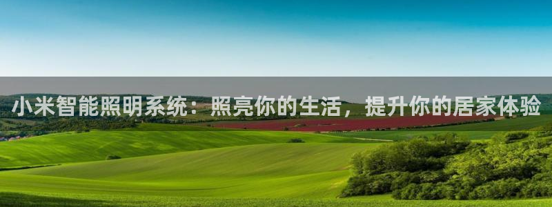 lol云顶国际服