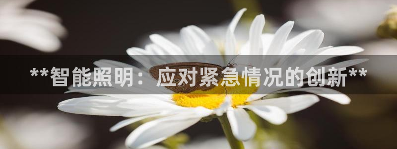 云顶国际ktv会所