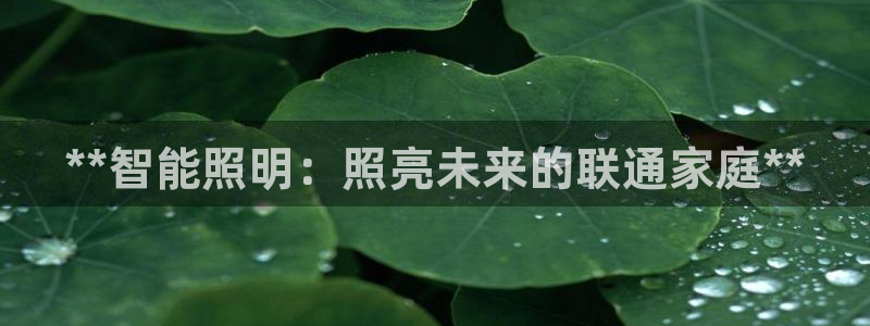 云顶国际服s9赛季什么时候出的