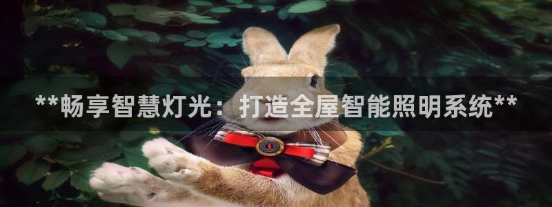 云顶国际前台电话是多少