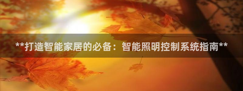 中国云顶控股集团