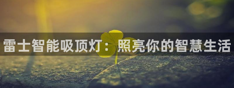 云顶国际app手机版下载