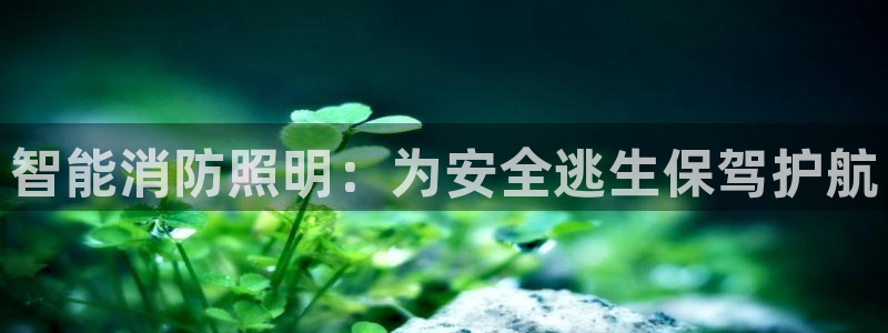 2418云顶