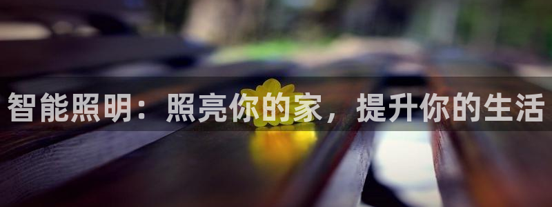 云顶国际商业广场a座101室