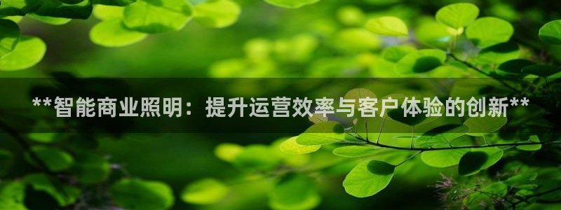 云顶国际投资有限公司招聘