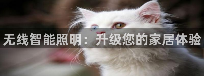 云顶国际商业广场a座101楼