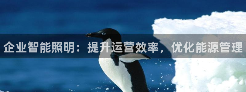 云顶中学国际部