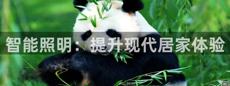 云顶国际足球app下载