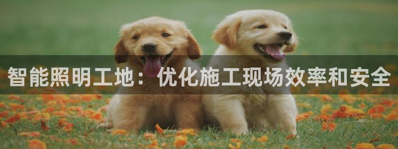 云顶国际会议中心地址