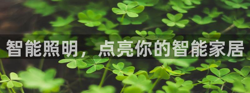 云顶国际老板是谁啊