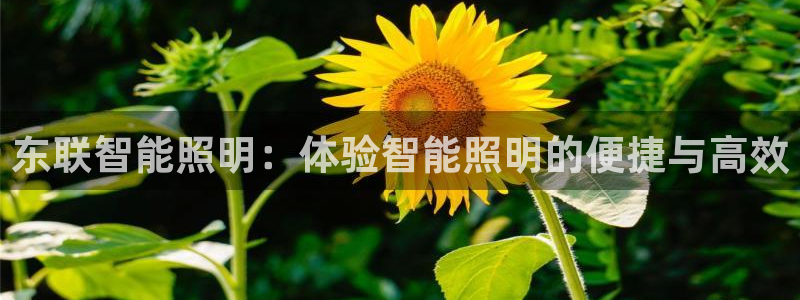 云顶国际版怎么注册