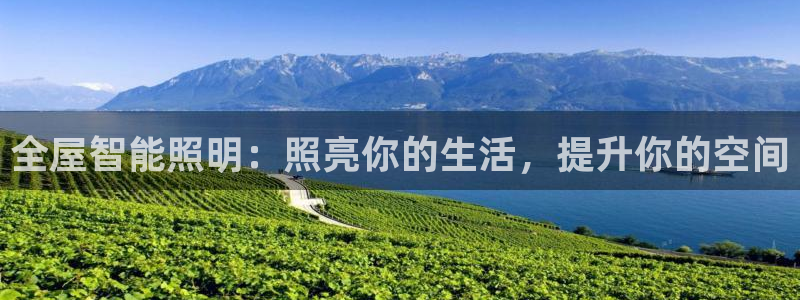 云顶国际app手机版怎么下载