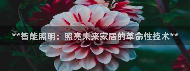 云顶国际版最新版苹果版