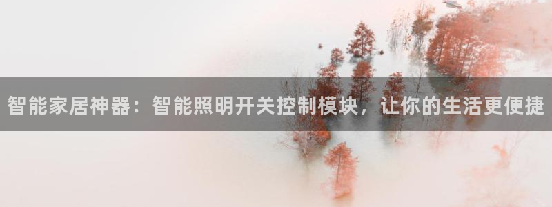 云顶国际集团发展有限公司国内项目总经理