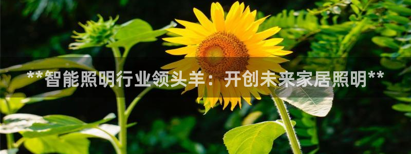 云顶手游国际服什么时候更新