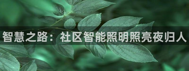 云顶国际在哪