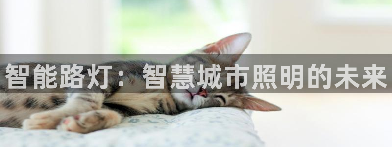 云顶集团3118acm登录入口