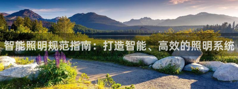 云顶国际服账号交易