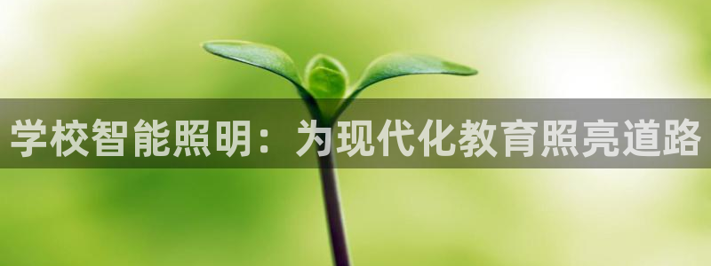 云顶集团在哪里