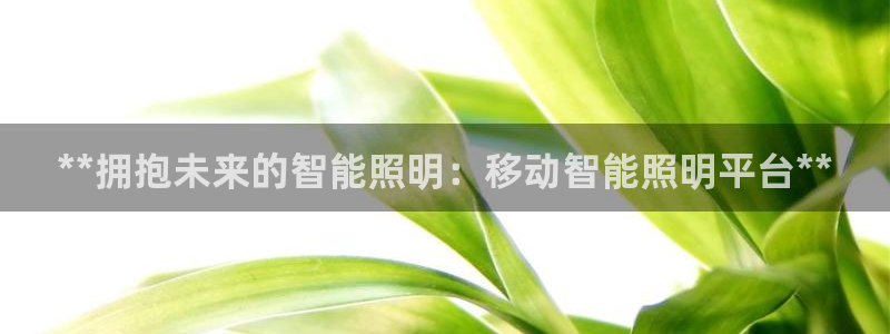 2322云顶