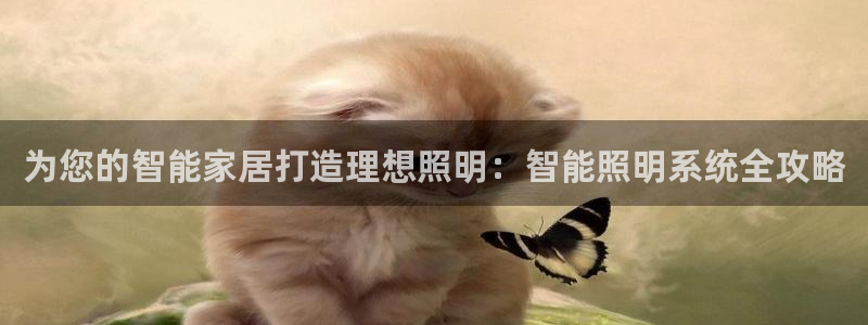云顶集团公司简介图片