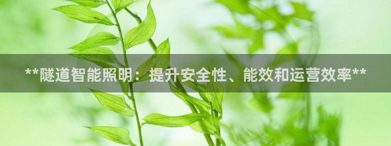 云顶集团有限公司官网