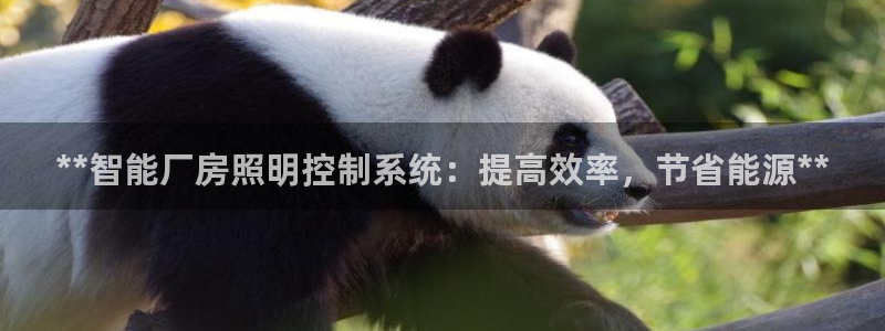 云顶国际高中