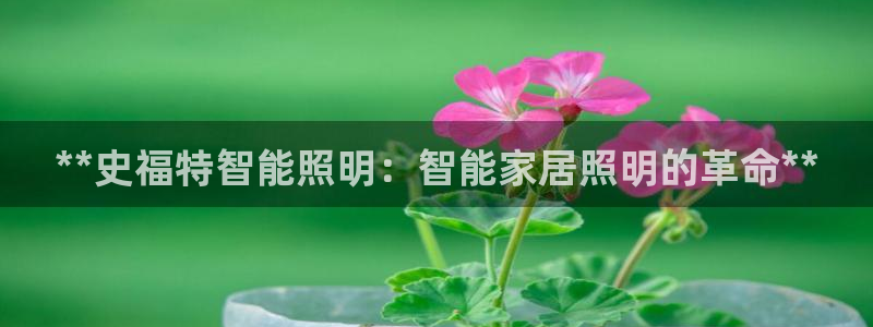 云顶高中国际部学费
