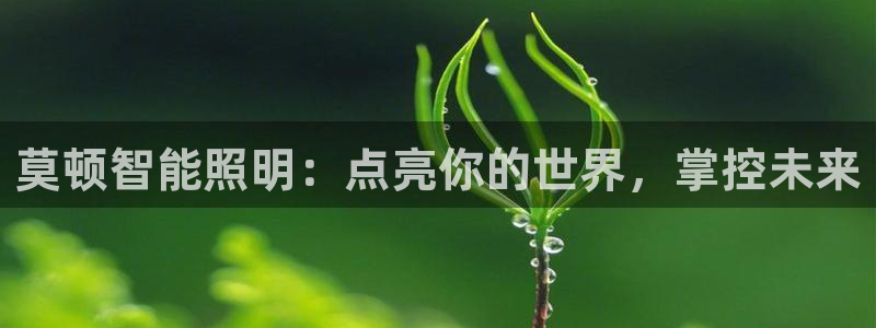 云顶集团GM