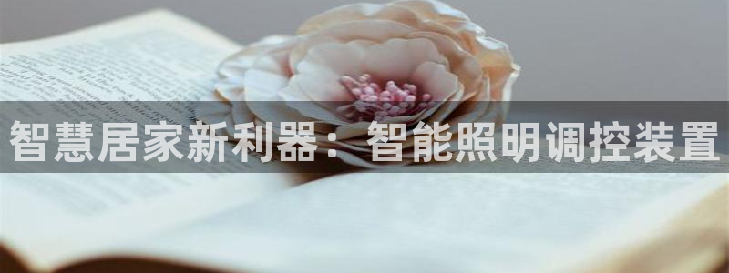 云顶国际部