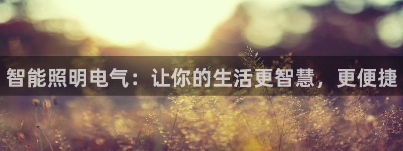 lol云顶国际服