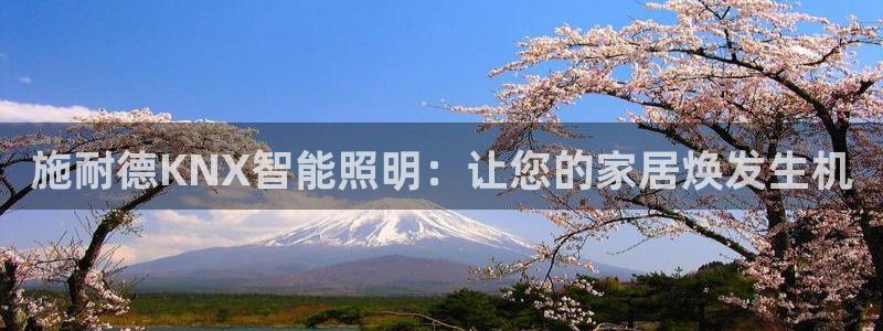 云顶集团游戏app