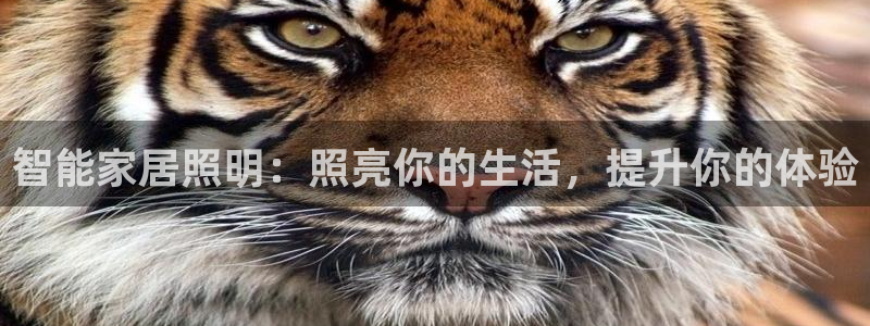 云顶国际晟荣协会