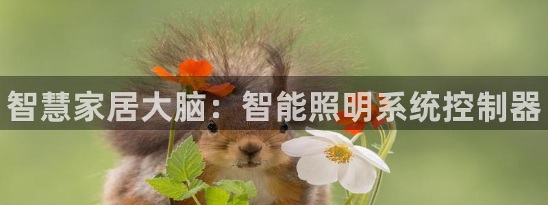 云顶国际服什么时候更新的