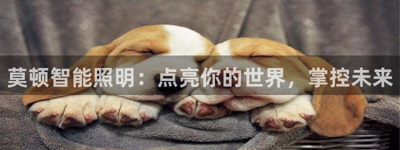 云顶集团APP下载