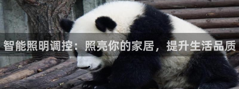 云顶国际公馆房价