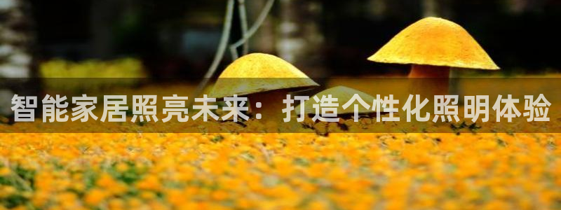 云顶国际麻将胡了