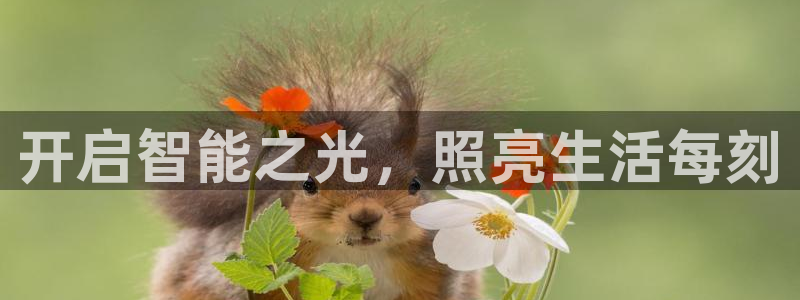 云顶国际物流官网