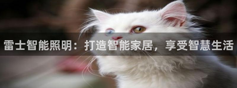 云顶国际服怎么更新